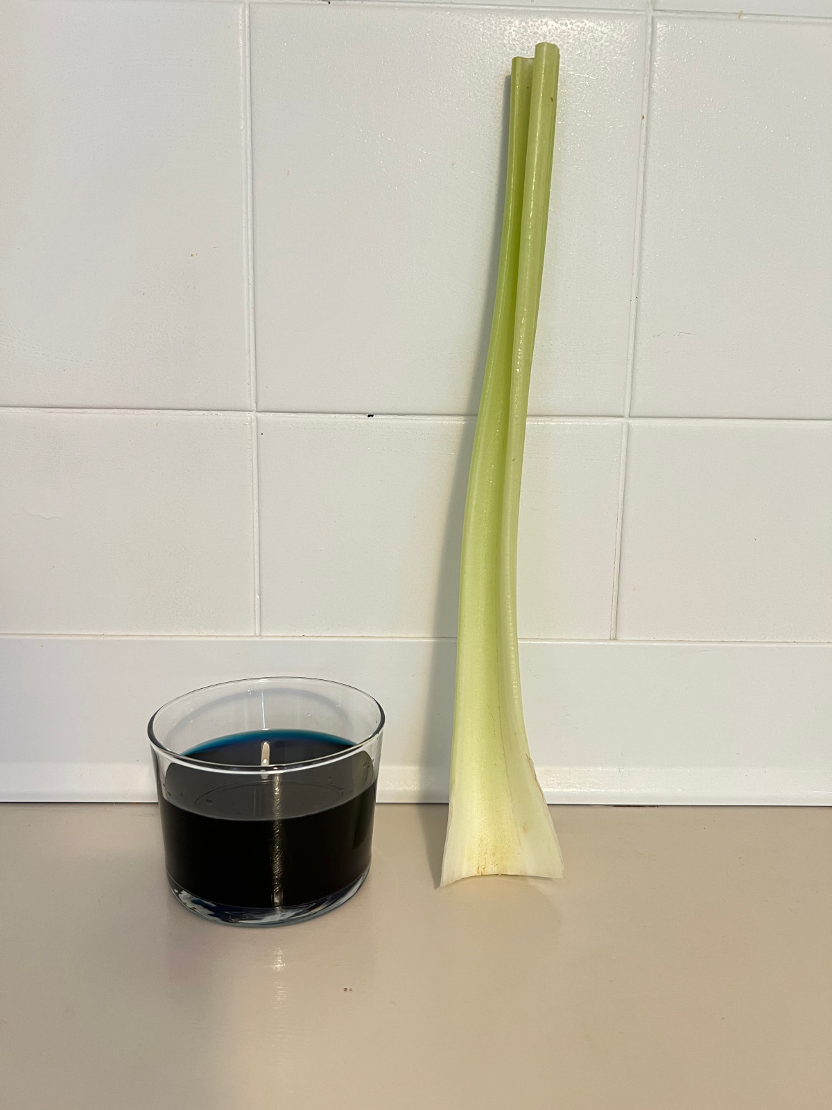 a celery stalk next to a glass with dyed water