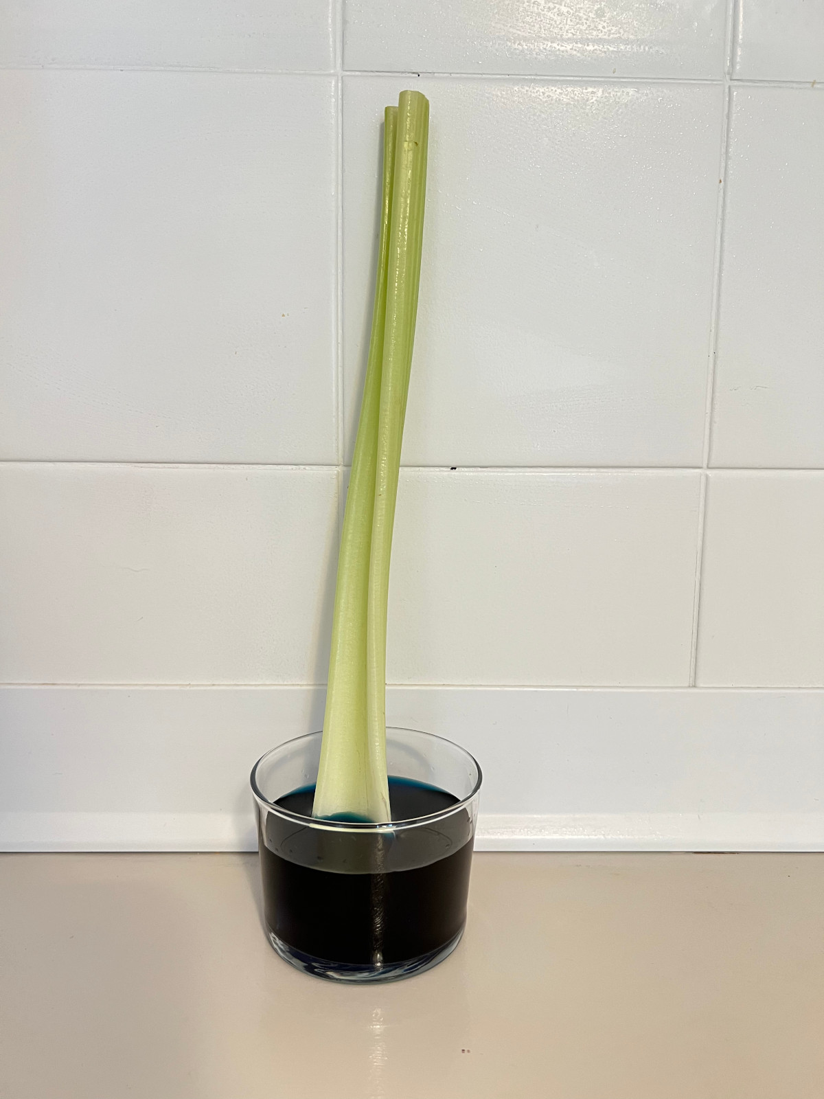 a celery stalk in a glass with dyed water