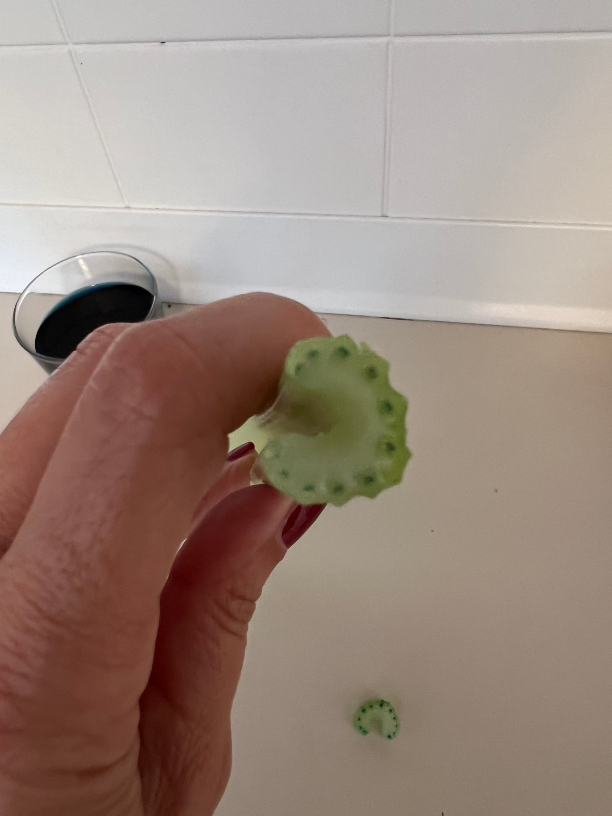 close-up of a celery stalk cut from the top