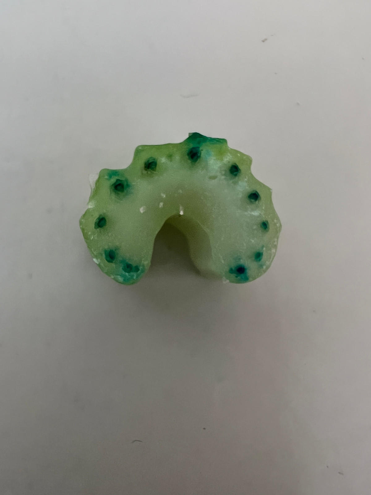 close-up of a celery stalk cut from the top, coloured with dye