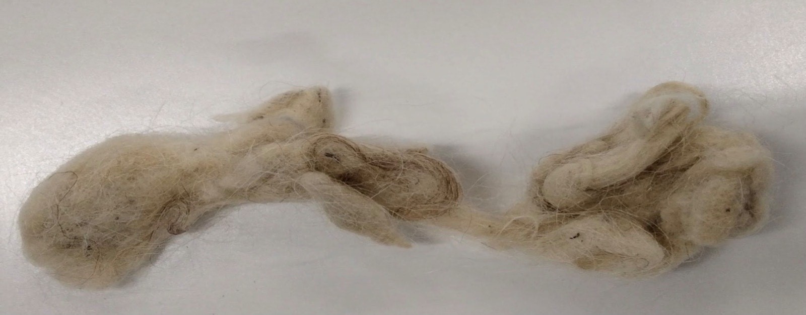 a batch of raw wool