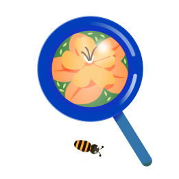 A magnifying glass, through which you can see an orange flower. Next to the magnifying glass there is a bee.
