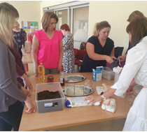 Workshop: How to tell students about climate change interactively