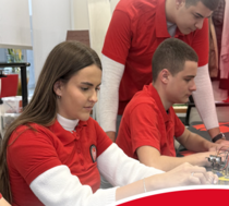 Project focused on Robotics in Serbia