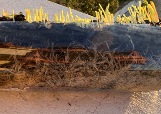 The soil in a transparent bottle is interspersed with roots.