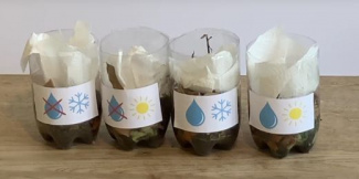 four cut plastic bottles filled with compost