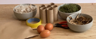 setup with the materials needed for the egg drop experiment: three eggs, empty toilet paper rolls, scissors, tape, feathers, grass cutlings, dried leaves.