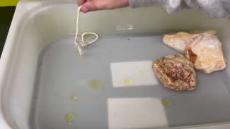 Cleaning up with a string loop