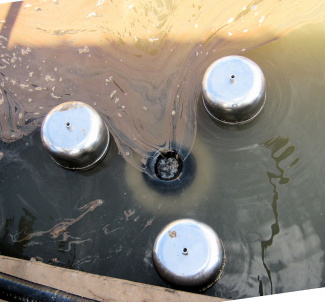 Self adjusting weir type oil skimmer