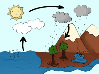 the water cycle
